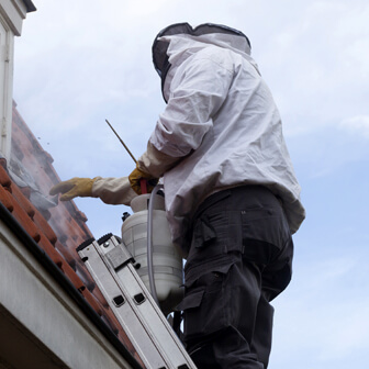 Destroying a wasp nest in Barnet