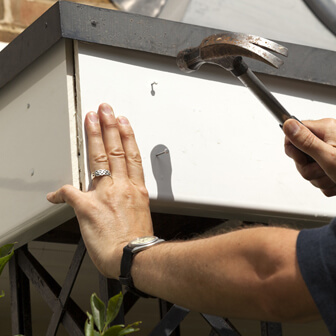 How to prevent wasps at your property