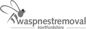 Wasp Nest Removal Hertfordshire